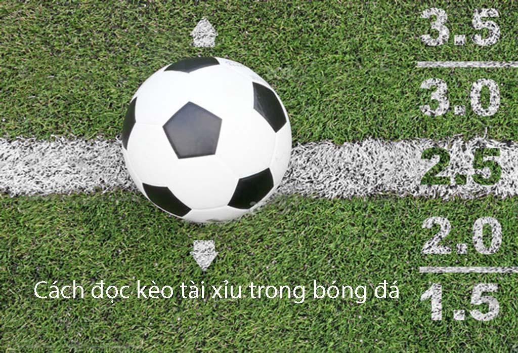 Giải thích chi tiết tài xỉu 2 trái là sao trong cá cược bóng đá