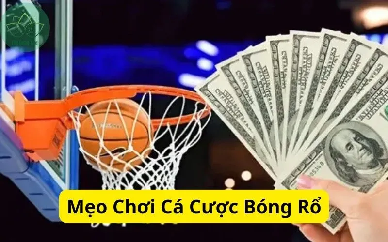 Khám phá trải nghiệm tuyệt vời tại online echtgeld casino với nhiều khuyến mãi hấp dẫn từ online echtgeld casino